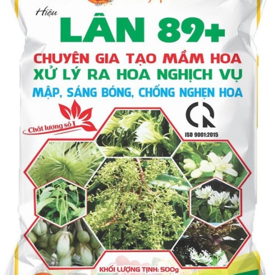 CH VTNN PHƯỚC THẠNH